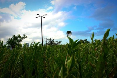 View of field against cloudy sky