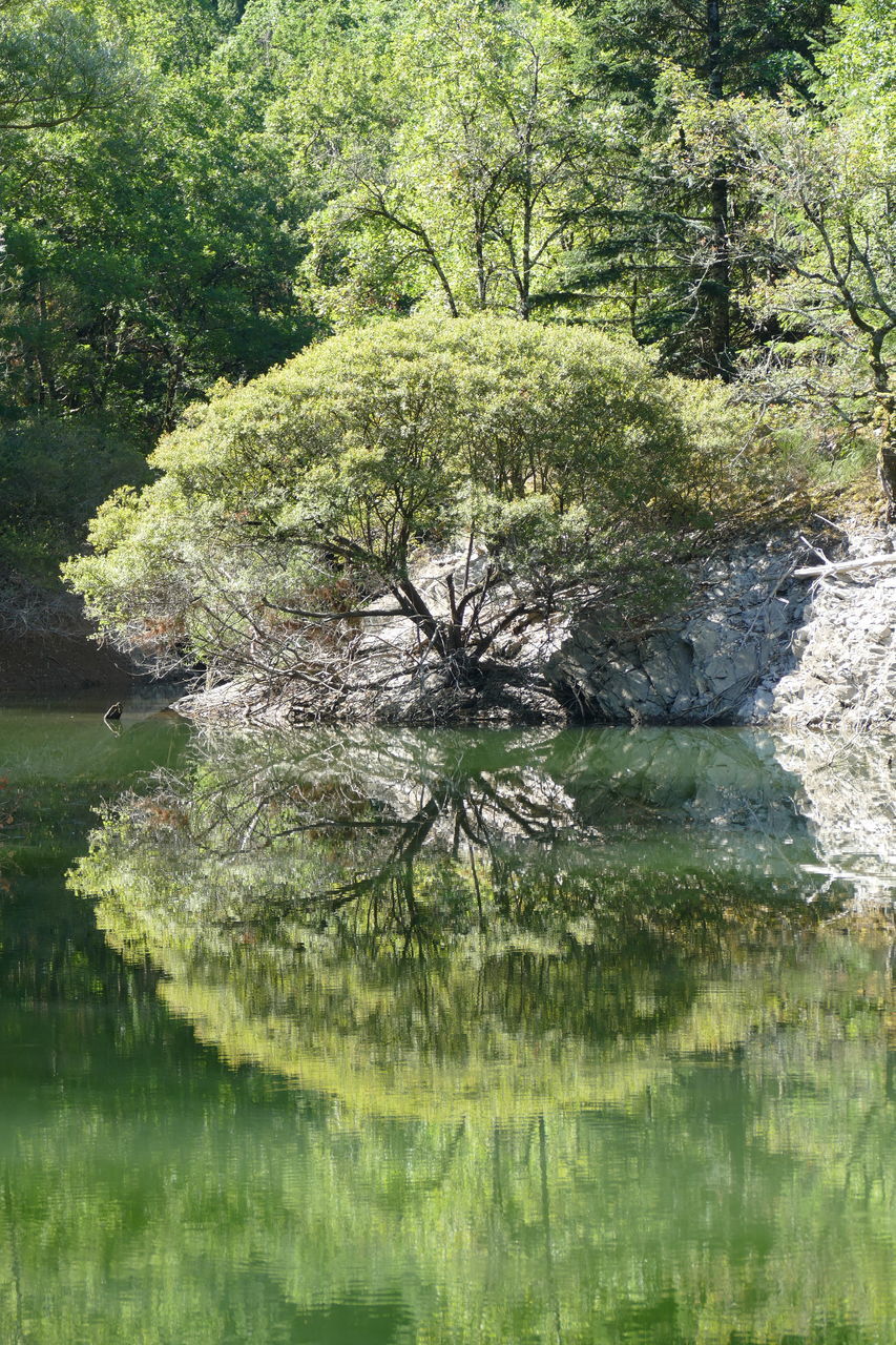 SCENIC VIEW OF LAKE