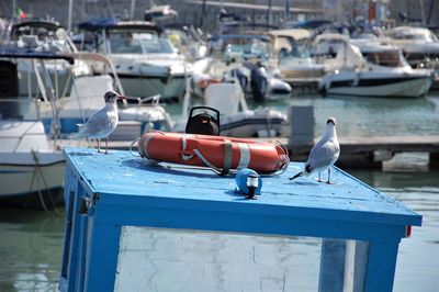 View of seagulls perching on pier