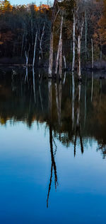 Reflection of tree in lake against sky