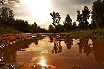 Scenic view of lake against sky during sunset