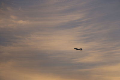 Low angle view of bird flying in sky