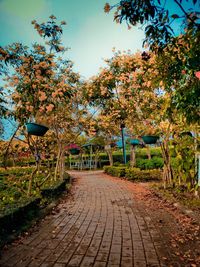 Empty footpath amidst trees in park during autumn