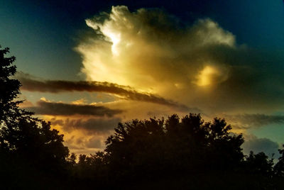 Low angle view of silhouette trees against sky