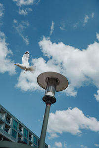 Low angle view of street light against sky