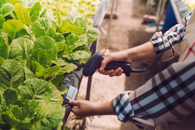 Midsection of woman working on plant