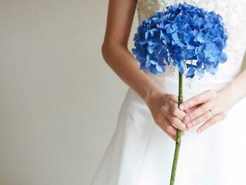 Close-up of hand holding over white background