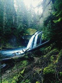 Scenic view of waterfall