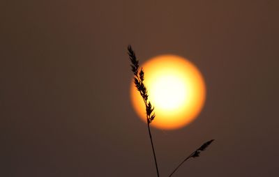 Sun shining through clouds