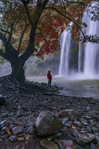 Man standing on rock against waterfall