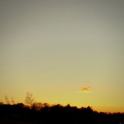 Silhouette of trees at sunset