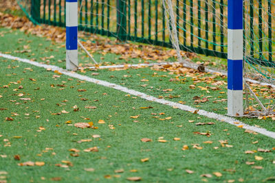 Fallen leaves on field in park during autumn