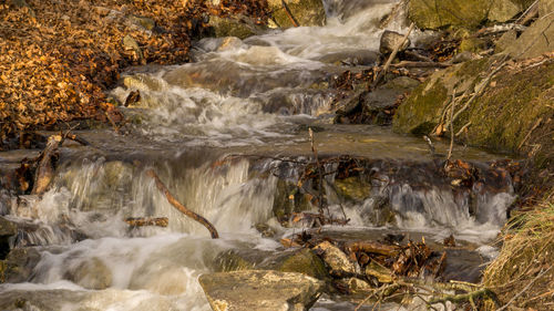 Scenic view of waterfall in forest