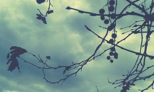 Low angle view of bare tree against cloudy sky