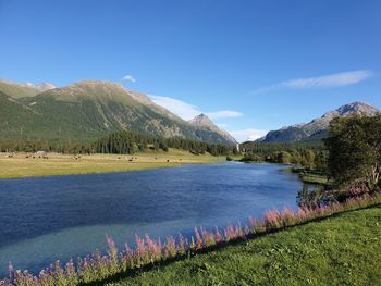 Scenic view of lake against blue sky