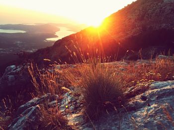 Scenic view of landscape against sky during sunset