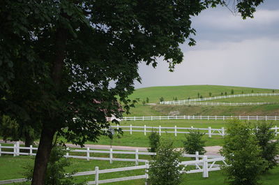 Trees on landscape against sky
