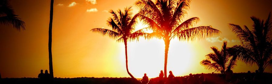 Silhouette palm trees against sky during sunset