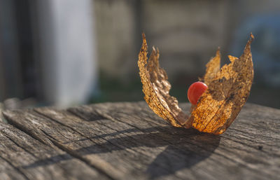 Close-up of fruits on table