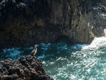 View of birds on rock formation in sea