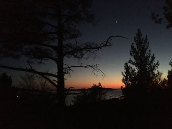 Silhouette of trees at sunset