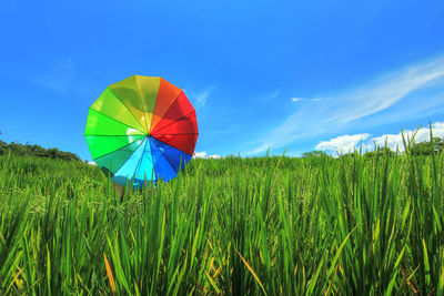 Umbrella on field against blue sky