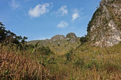 Scenic view of land against sky