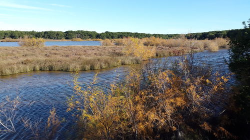 Scenic view of lake against clear sky