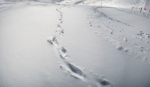 Aerial view of snow covered field