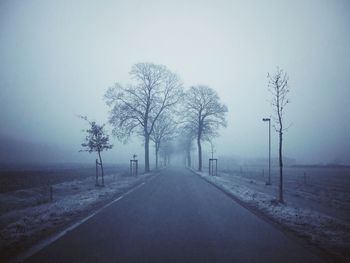 Empty road amidst bare trees against sky