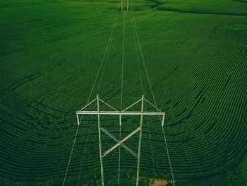 A grouping of powerlines over farm land in rural wisconsin