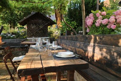 Empty chairs and table against trees