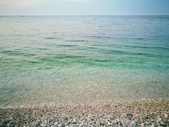 Scenic view of beach