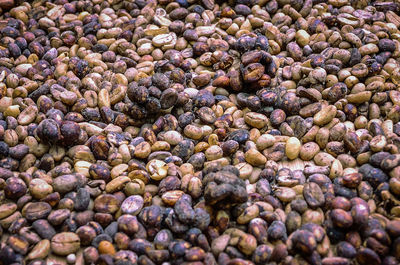 Full frame shot of raw coffee beans