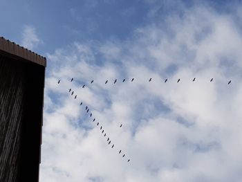 Low angle view of birds flying in sky