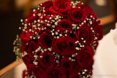 Close-up of pink rose