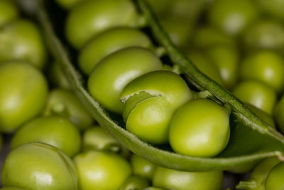 Close-up of green fruits