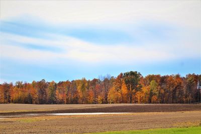 Trees on field against sky during autumn
