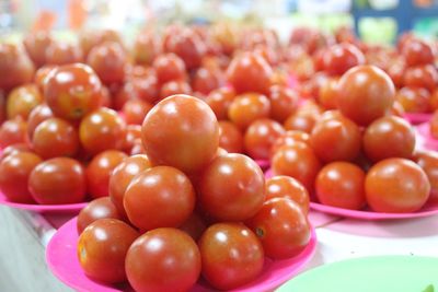 Close-up of tomatoes