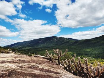 Scenic view of landscape and mountains against sky