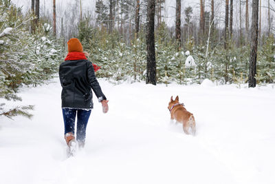 Young woman is playing with her dog on a walk in winter coniferous forest. back view