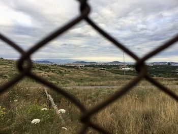 chainlink fence