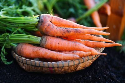 Close-up of vegetables