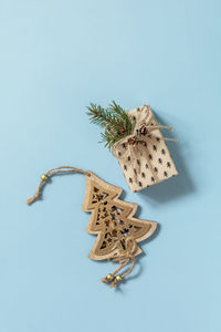 High angle view of dry leaf against white background