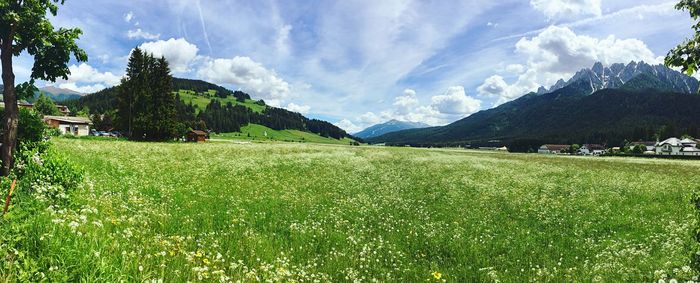 Scenic view of field against sky