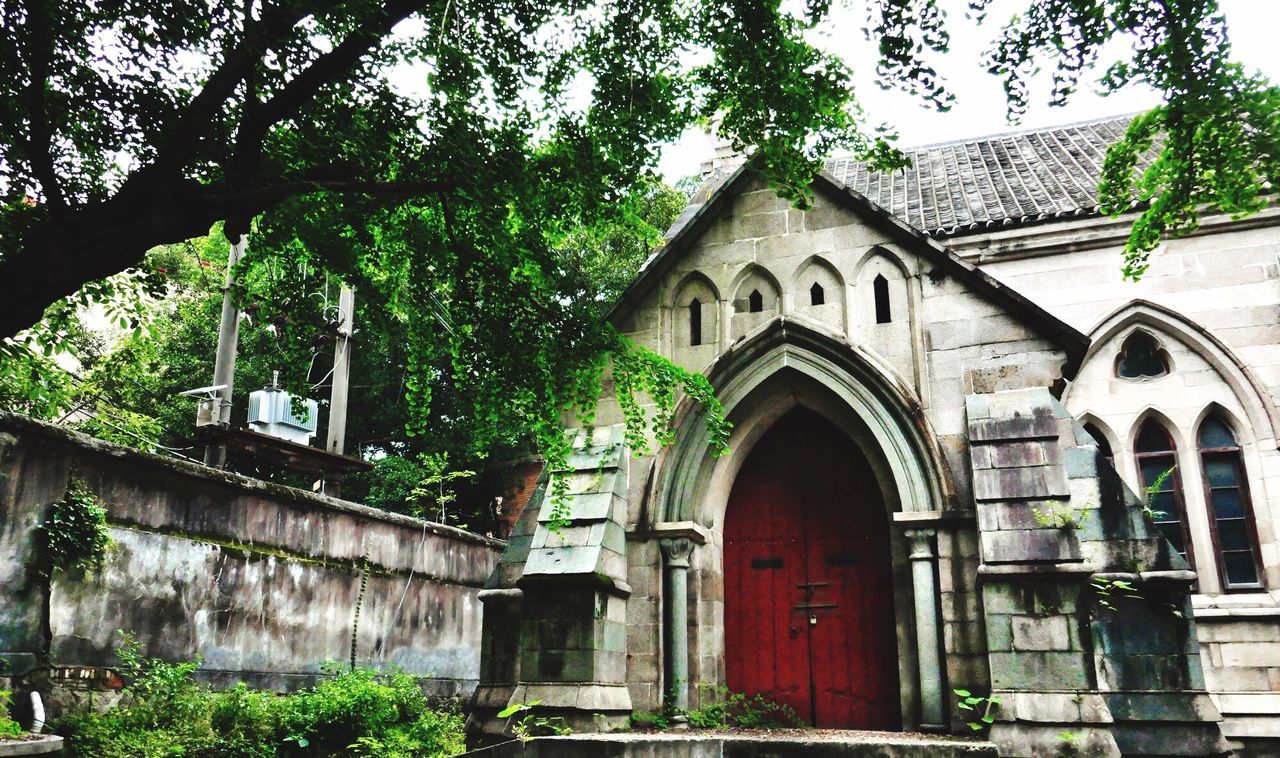 architecture, building exterior, built structure, tree, arch, day, window, outdoors, no people, history, low angle view, place of worship