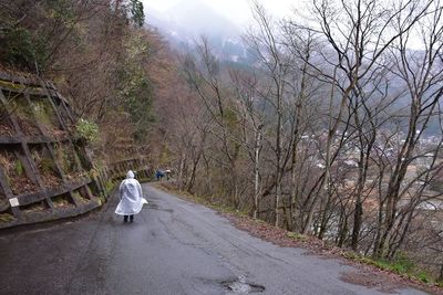 Rear view of woman walking amidst plants in forest