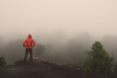 Rear view of man standing on cliff against trees during foggy weather