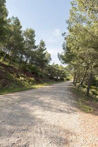 Road amidst trees against sky