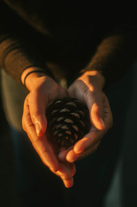 Midsection of woman holding pine cone in darkroom